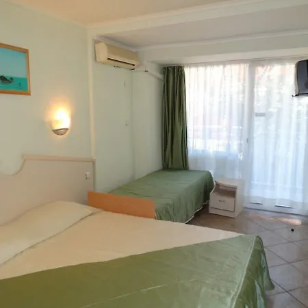 Dana Palace فندق