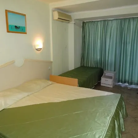 酒店 Dana Palace